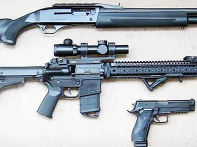 Pistol vs. Rifle vs. Shotgun: What's the Difference?