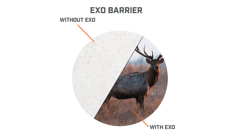 View through the lens with and without the EXO Barrier