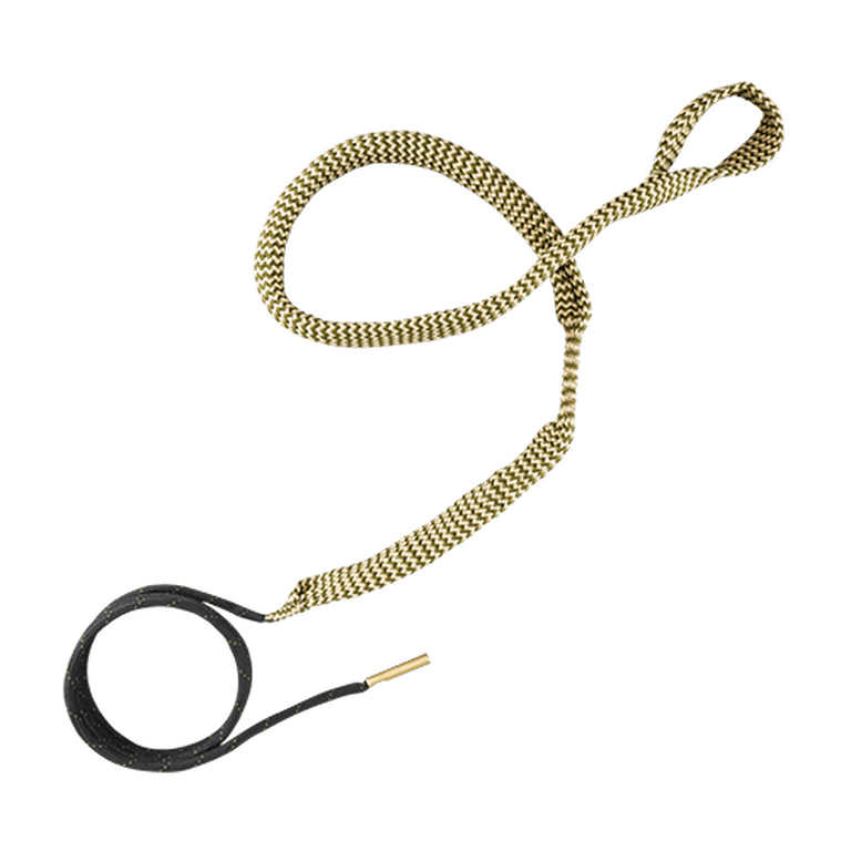 Hoppe's BoreSnake on transparent background