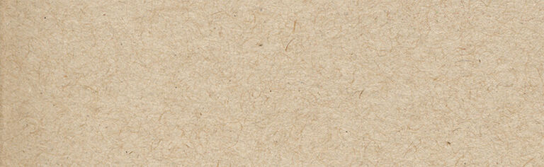 Binocular Caddies search results banner with paper texture