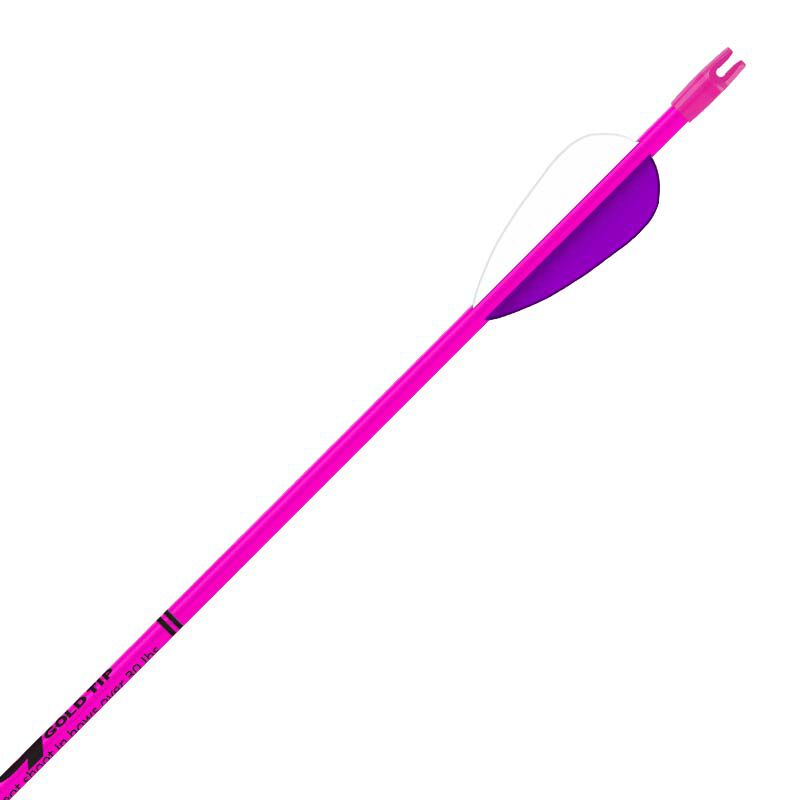Fiberglass Arrow Youth Arrows