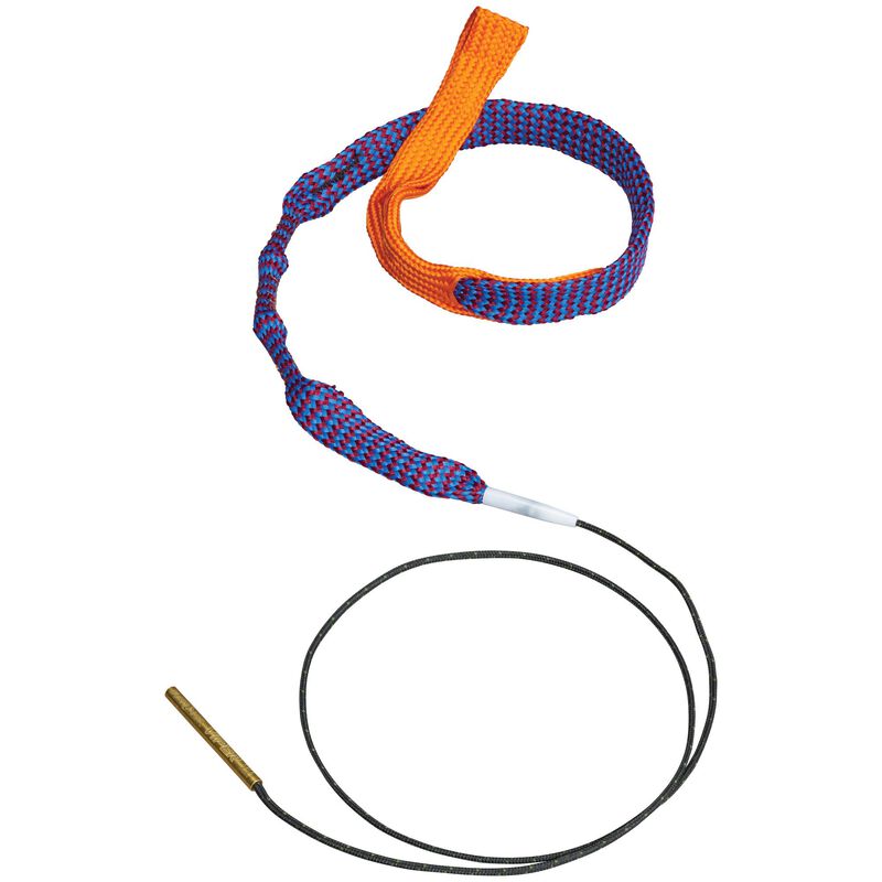 .22 Boresnake® Viper with Den Pistol