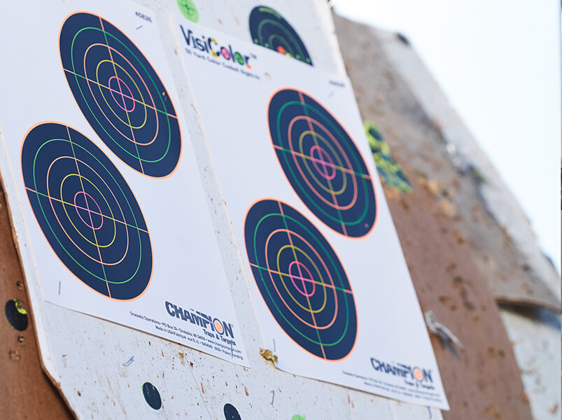 Champion Targets Homepage